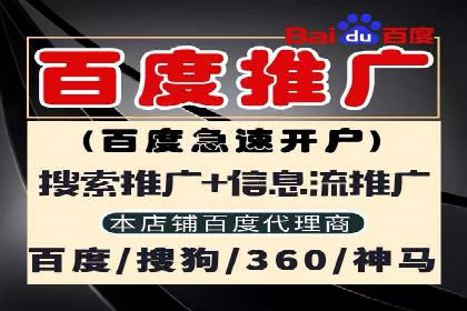 百度SEM竞价推广，案例解析转化率提升秘诀